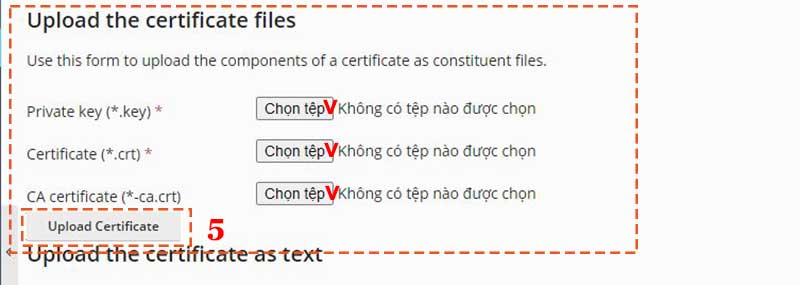 Cài đặt và thay đổi SSL trên Plesk